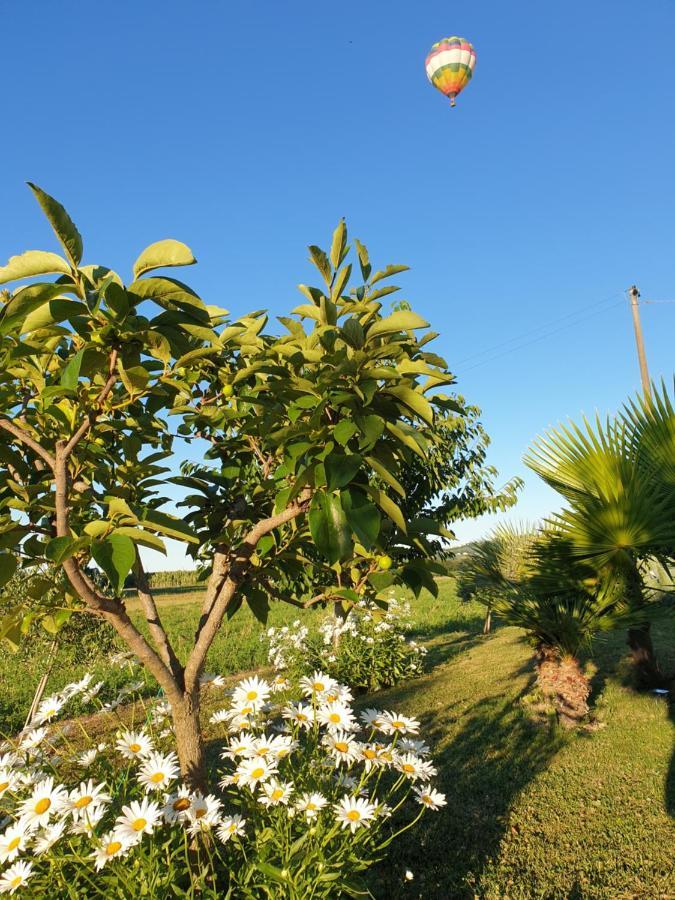La Dolce Vita Castelfidardo Luaran gambar