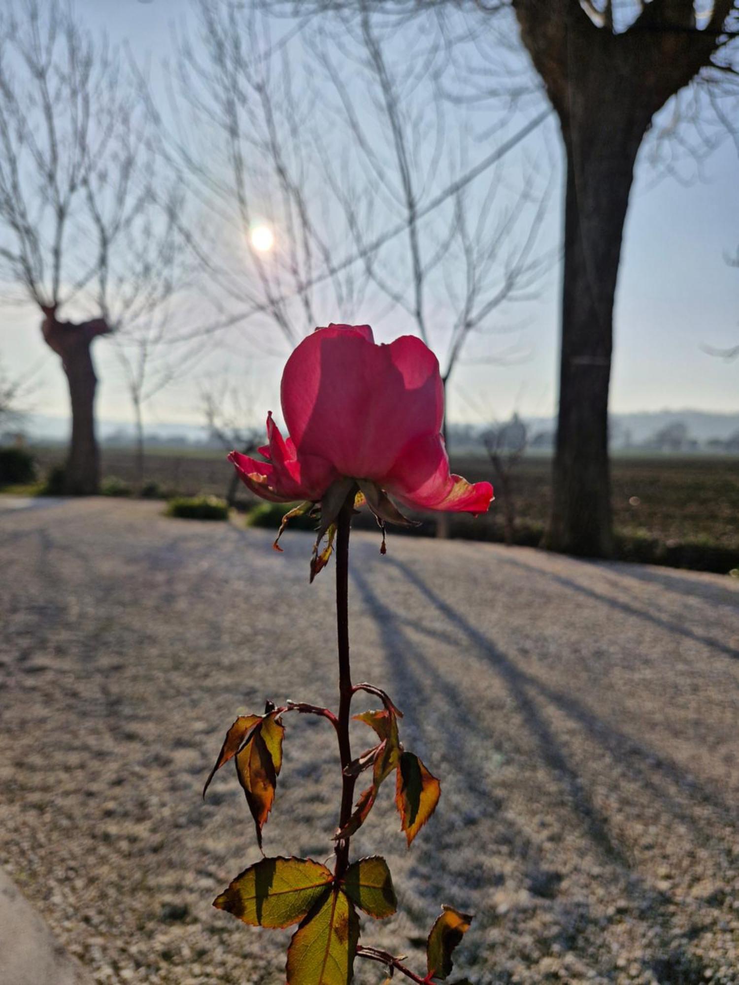 La Dolce Vita Castelfidardo Luaran gambar